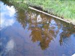 Sweden 2006-07 006